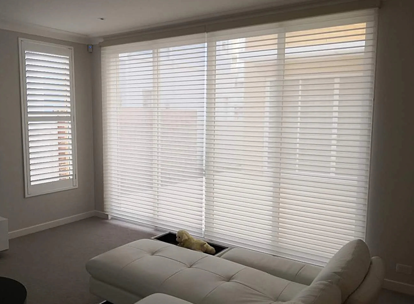 Zebra Blinds (Free Track Free Installation)